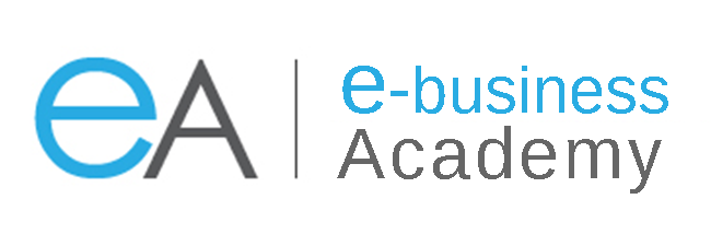 E-Business Academy – Future the project